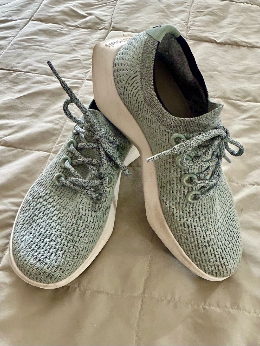 allbirds Women's Seagrass Merino Wool Classic Lace-Up Sneakers Women’s Size 8